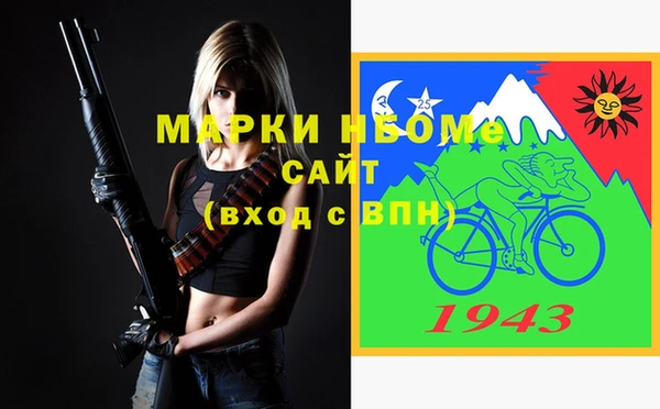спиды Ельня