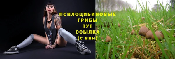 спиды Ельня