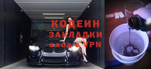 спиды Ельня