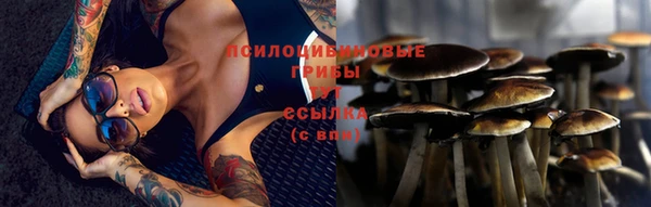 герыч Елабуга