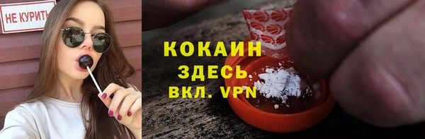спиды Ельня