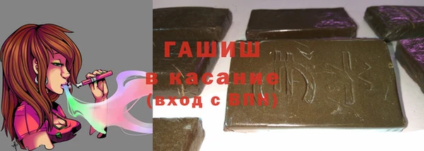 спиды Ельня