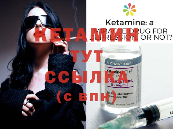 спиды Ельня