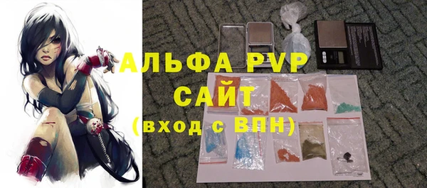 спиды Ельня