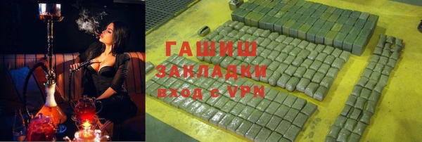 спиды Ельня