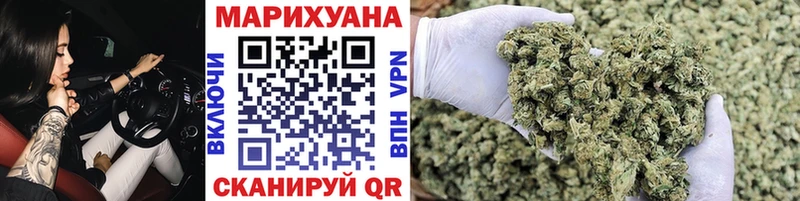 Купить Шуя Канабис конопля